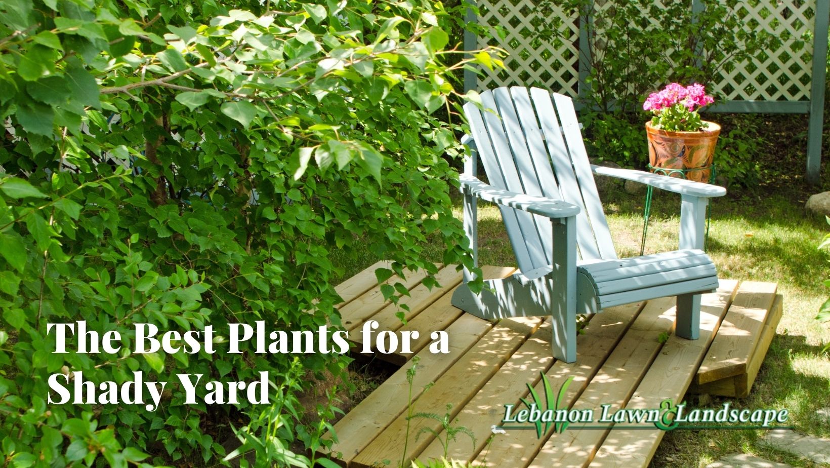 Plants for the backyard